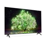 LG-OLED65A1PVA-TV